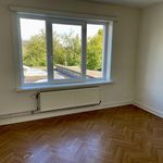 Rent 3 bedroom house in Haaltert