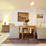 Rent 1 bedroom apartment in Kapelle-op-den-Bos