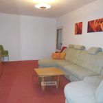 Rent 2 bedroom apartment of 62 m² in Ceské Budejovice