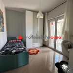Rent 4 bedroom apartment of 100 m² in Campobasso