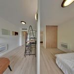 Appartement de 28 m² avec 1 chambre(s) en location à Bizanos