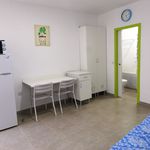 Alquilo 1 dormitorio apartamento de 22 m² en Las Palmas de Gran Canaria