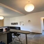 Rent 1 bedroom apartment in Barberaz
