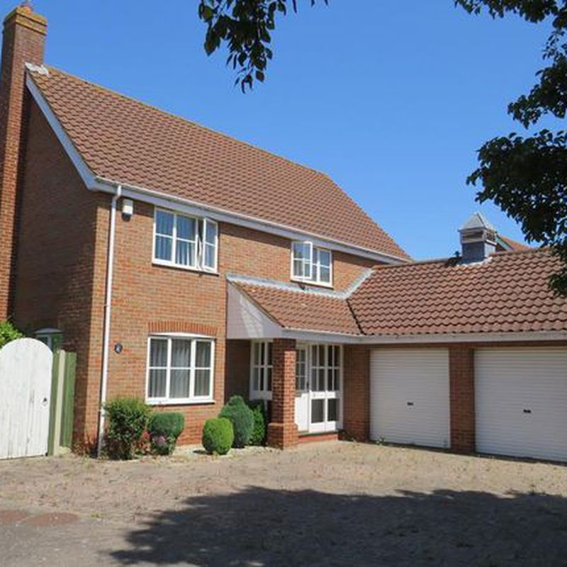 Detached house to rent in Holly Blue Road, Wymondham NR18