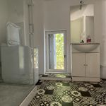 Rent 1 bedroom apartment of 40 m² in Marcilly-en-Villette