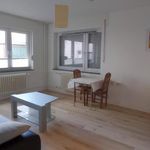 Rent 2 bedroom apartment of 50 m² in Kiel