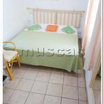 Rent 3 bedroom apartment of 50 m² in Fiumicino