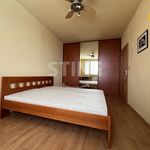 Rent 4 bedroom apartment of 94 m² in Hodonín