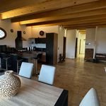 Rent 6 bedroom house of 150 m² in Arles