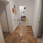 Rent 5 bedroom apartment of 20 m² in Padua