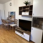 Rent 1 bedroom apartment of 38 m² in Augsburg