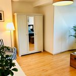 Miete 3 Schlafzimmer wohnung von 90 m² in Braunschweig