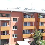 Rent 3 bedroom apartment of 58 m² in Graz