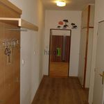 Rent 2 bedroom apartment of 54 m² in Ceské Budejovice