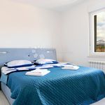 Rent 2 bedroom apartment of 80 m² in Primorsko-goranska
