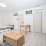 Pronajměte si 1 ložnic/e byt o rozloze 63 m² v Jáchymov