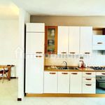 Rent 2 bedroom apartment of 40 m² in Viareggio