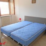 Rent 1 bedroom apartment of 45 m² in Vercelli