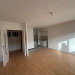 Rent 2 bedroom apartment of 46 m² in LILLE