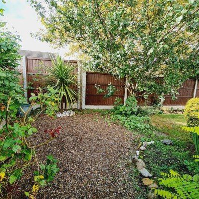 Detached bungalow to rent in Windsor Close, Lincoln LN2 Scothern