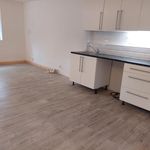 Rent 1 bedroom apartment of 40 m² in Liberec