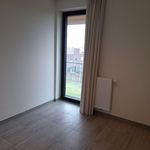  appartement avec 2 chambre(s) en location à Stasegem