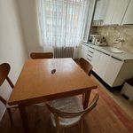 Rent 2 bedroom apartment of 59 m² in Litvínov