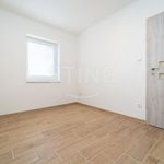 Rent 1 bedroom house of 100 m² in Ostrava