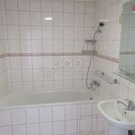 Rent 3 bedroom apartment of 85 m² in Cheb