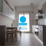 Rent 4 bedroom apartment of 115 m² in Pesaro