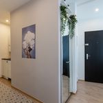 Rent 2 bedroom apartment of 45 m² in Wien