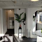 Rent 1 bedroom apartment of 40 m² in Den Haag