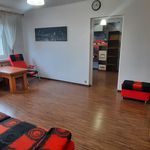 Rent 2 bedroom apartment of 41 m² in Głogów
