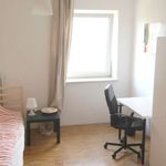 Rent a room of 113 m² in München