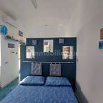 Rent 2 bedroom apartment of 30 m² in Ischia