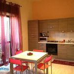 Rent 1 bedroom apartment of 32 m² in Torino