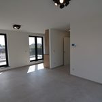 Huur 1 slaapkamer appartement van 62 m² in Turnhout