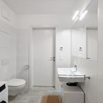 Rent a room of 60 m² in Graz