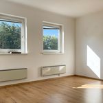 Miete 4 Schlafzimmer wohnung von 89 m² in Brand-Nagelberg