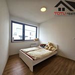 Rent 1 bedroom apartment of 82 m² in Nové Město nad Metují