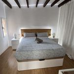 Alquilo 4 dormitorio apartamento de 150 m² en Palma