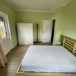 Rent 4 bedroom apartment in Santarém