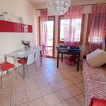 Rent 3 bedroom apartment of 70 m² in Rosignano Marittimo