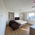 Rent 1 bedroom apartment of 27 m² in Kostelec nad Orlicí