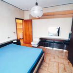 Affitto 4 camera appartamento di 60 m² in Massa d'Albe