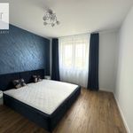Rent 4 bedroom apartment of 80 m² in Kraków