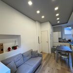 Rent 1 bedroom apartment of 37 m² in Milano