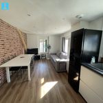Rent 3 bedroom apartment of 47 m² in Saint-Mamet