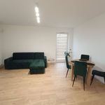 Rent 1 bedroom apartment of 58 m² in Konin