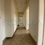 Rent 5 bedroom apartment in Nidau